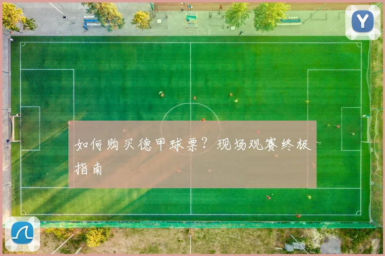 如何购买德甲球票？现场观赛终极指南